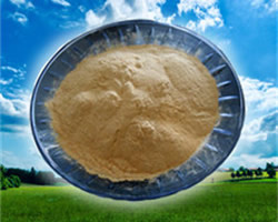 Beer yeast powder aquatic products